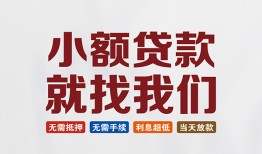 东莞9信用贷款网-东莞9哪里可以私人借款-东莞9短借当天借钱